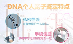 杭州隐私亲子鉴定需要多少费用，杭州隐私亲子鉴定办理的流程